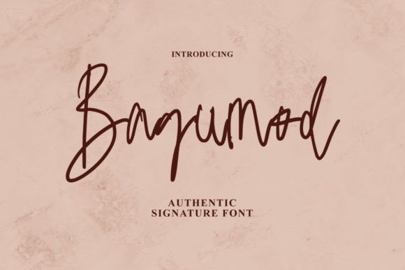 Bagumod: A Thoughtful Script Amp for Editorial Warmth