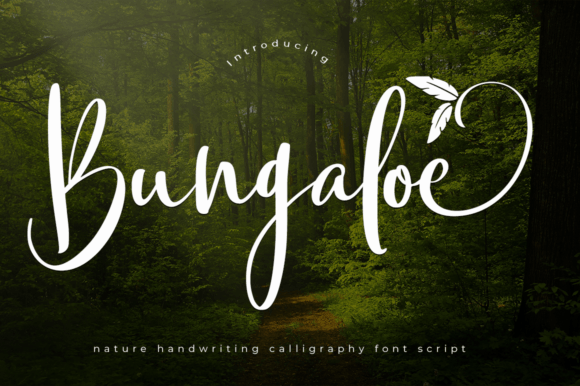 Bungaloe: A Handwritten Font That Feels Like a Warm Welcome