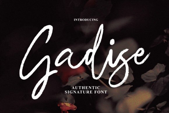 Gadise: A Script Font That Dances With Your Words
